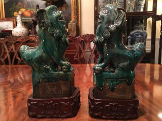 A Rare Pair Antique Chinese Blue Glazed Pottery Foo Lions,  With Rosewood Stands.