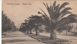 Rare Vintage Postcard Merced Ca/court House Ave.  Rustic Palms/courthouse Look