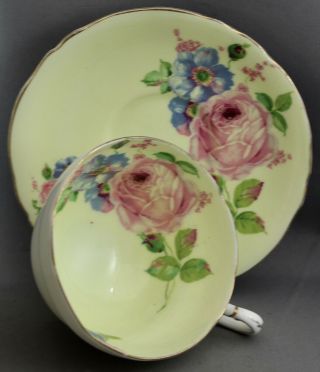 Paragon Teacup & Saucer - Yellow/pink Roses M 477