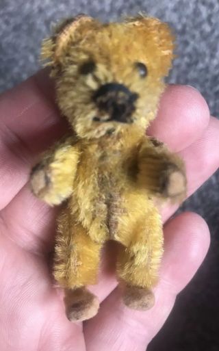 Rare Antique Miniature 2.  5 " Schuco Piccolo Bear Gold Jointed No Res Buy Now
