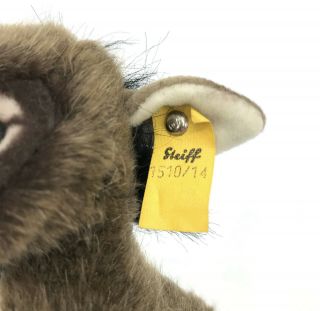 Steiff Assy Donkey Plush 14cm 5.  5in ID Button Yellow Tag 1978 - 85 Vintage 3