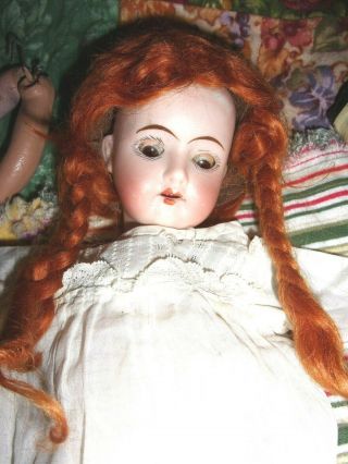 Bisque Head Goebel Doll Head.  including a BODY to put together w/wig/dress 3
