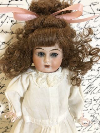 Unidentified Rare Antique German/french 13.  5” Bisque Shoulder Head Doll