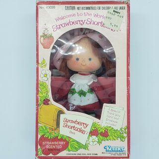 Vintage 1982 Strawberry Shortcake Doll With Custard And Accessories.