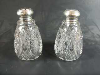 WILCOX STERLING AND CUT PRESSED GLASS SALT & PEPPER - 3 3/8 