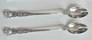 Gorham Buttercup Sterling Silver Set Of 2 Iced Tea Spoons Mono M