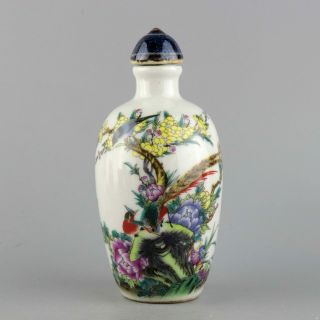 Collectable China Old Porcelain Hand - Paint Bird & Flower Precious Snuff Bottle