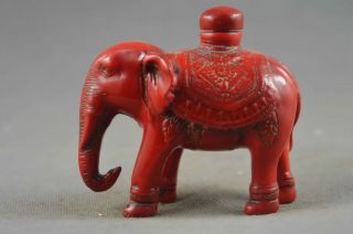 Ancient Collectable Handwork Coral Carve Elephant Auspicious Lucky Snuff Bottle