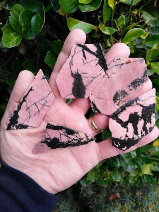 Five (5) 1940s Very Rare Idaho Rhodonite Rough Cut Chunk Pink Black Contrast 9oz