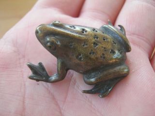 Miniature Lost Wax Cast Vienna Bronze Of A Frog Possibly Toad