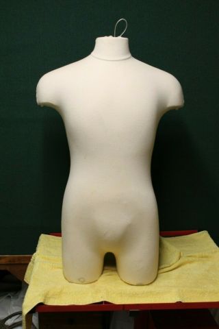 Vintage Male Mannequin Upper Torso And Hips