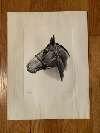 Rare Print Of Ky Derby Winner Decidedly By C.  W.  Ernst - Horse Print