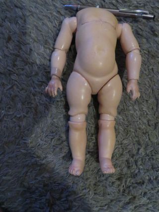 Rare Antique Kestner J.  D.  K Googly Baby Body For Bisque Head Doll10 Inch Germany