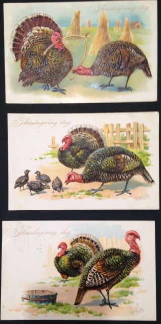 Antique Postcards Thanksgiving Set Of 3,  Turkeys,  Wishbone,  Embossed,  1907