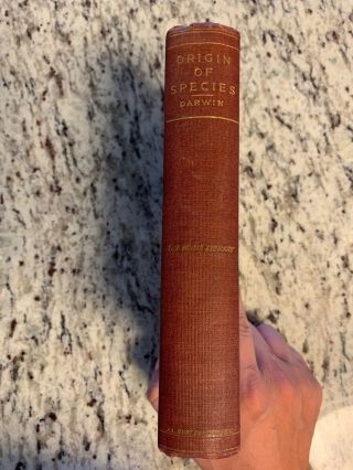Circa 1900 Antique Science Book " The Origin Of Species " Charles Darwin