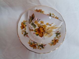 Vintage Queen Anne Fine Bone China Cup And Saucer,  England Roses