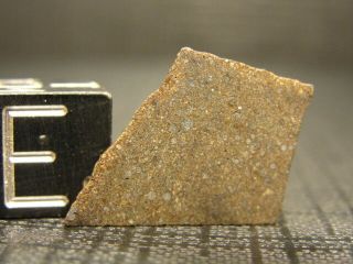 Nwa 8290 Carbonaceous Co3.  1 Chondrite - G482 - 0021 - 0.  70g - Rare Part Slice
