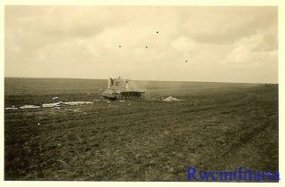 RARE KO ' d German MARDER II Tank Destroyer Sitting in Open Muddy Field 2