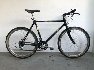 Rare 1989 Specialized Stumpjumper Epic Carbon Vintage Mountain Bike Xt