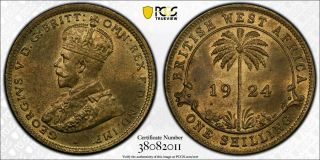 1924 - H British West Africa Shilling Pcgs Ms64 - Finest Known Rare Bu