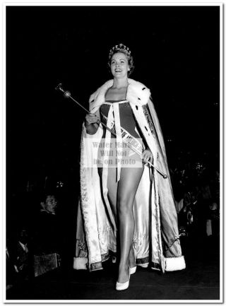3rd Miss Universe 1954 Miriam Stevenson - Press Photos 1 - 12 (8 " X10 ") Rare