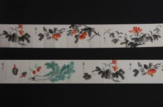 Rare Antique Chinese Hand - Painting Scroll Book Zhang Daqian Marked - Persimmon