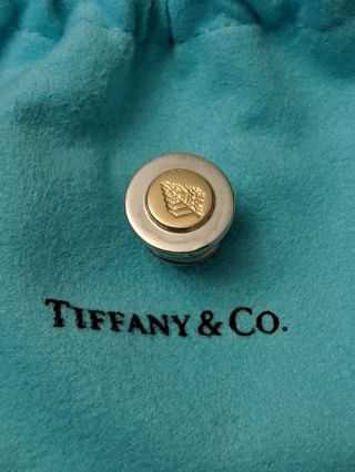 Rare Tiffany & Co 18k Gold On Sterling Silver Pin