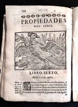 1696 Rare Book On The Birds Of Spain Barcelona — By Fr.  Ferrer