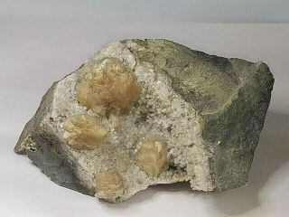 Rare Heulandite & Calcite Crystals Weldon Fanwood Quarry Nj Mineral Specimen
