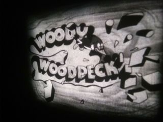 8mm Film Woody Woodpecker Niagara Fools (1956) Rare 200ft Reel 3