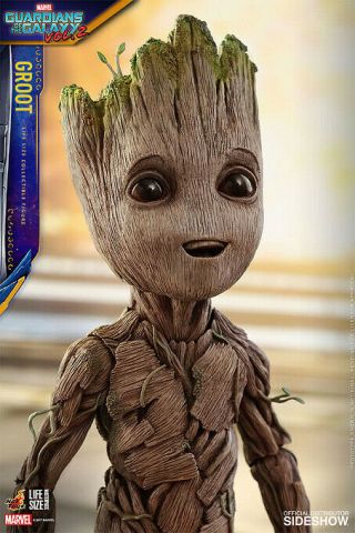 Hot Toys/sideshow Guardians Of The Galaxy Vol.  2 Life - Size 1.  1 Groot Figure