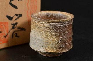 U7403: Japanese Shigaraki - Ware Youhen Pattern Guinomi Sake Cup W/signed Box