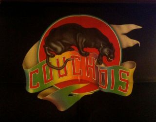 COUCHOIS VERY RARE WARNER BROS Records 1979 promo POSTER About 35x22 Inches 3