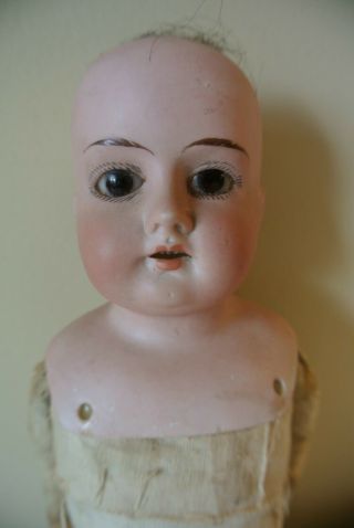 Antique Bisque Doll Germany leather jointed body Teeth BROWN EYES 8/0 17 