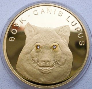 2007 Km 384 Wolf Canis Lupus オオカミ 狼 Proof 1/4 Oz Gold Belarus 50 Roubles Rare
