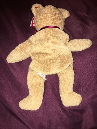 CURLY THE BEAR 4052 TY BEANIE BABY MWMT W RARE NOSE ERROR 2