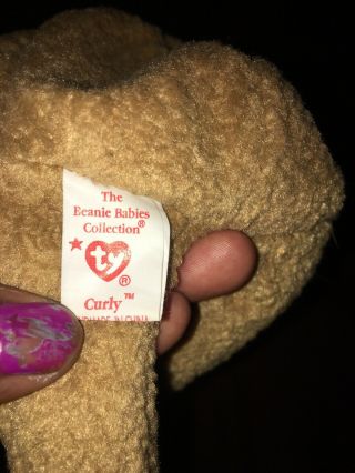 CURLY THE BEAR 4052 TY BEANIE BABY MWMT W RARE NOSE ERROR 3