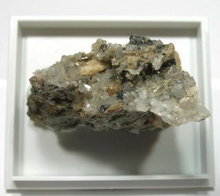 Rare Freibergite: Wenzel Mine,  Frohnbach Valley,  Black Forest Germany - Nr