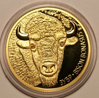 2012 Belarus 50 Roubles European Bison Wildlife Proof 1/4 Oz Gold Rare