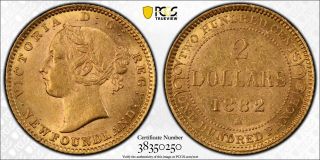 1882 - H $2 Gold Newfoundland Pcgs Ms61 Extremely Rare Coin In All Grades I Ship