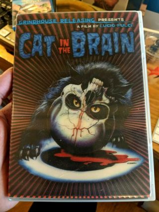 A Cat In The Brain Rare Dvd Deluxe Edition Lucio Fulci 
