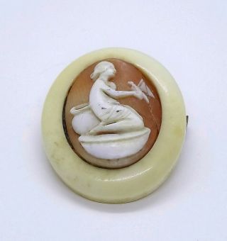 Unusual Antique Victorian Mourning Cameo In Bone Brooch Mount