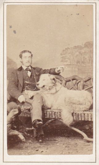 Antique Cdv Photo - Man With Large Dog On Rustic Seat.  Twickenham Studio