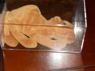 Authenticated Ty Beanie Baby Rare Humphrey The Camel 1st Tush/no Hang Tag
