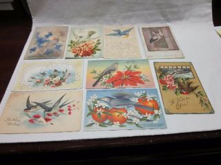 9 Pc Antique Bird Victorian Postcards Germany Gibson Art Co Ullman Co,  Tichnor