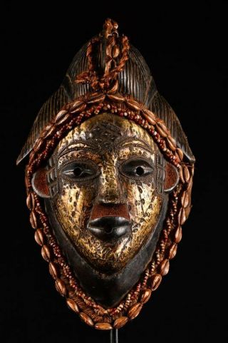 9774 Rare Punu Tribe Puka Shell Queen Mask Old African Wood Carved