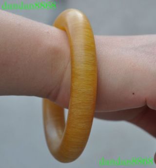 4 " Rare Old Chinese Ox Horn Oxhorns Pure Hand - Carved Decoration Bracelet Bangle