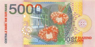 Suriname 5000 Gulden 2000 Unc pn 152 Rare Banknote Note 2