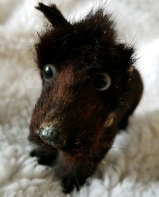 Vintage/antique Small Stuffed Scottie Dog With Glass Eyes.