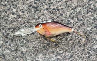 Rapala Risto Rap Rr - 5 Fishing Lure Crankbait Psd Plum Shad Rare Model & Color